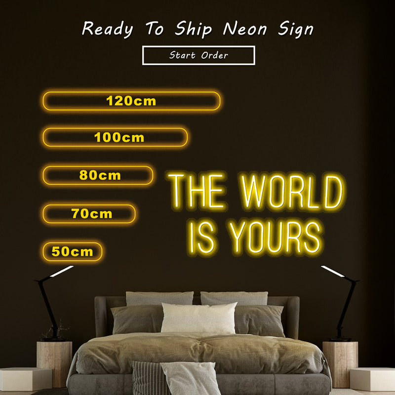 The world is your led neon sign